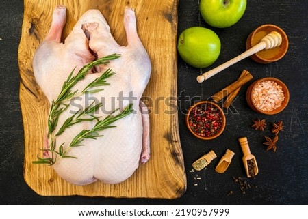 Raw whole duck, five spices: fennel, cloves, cinnamon, Sichuan pink pepper, star anise, himalayan pink salt and honey. Green apples. Top view. Space for text. Everything you need to make Peking Duck.