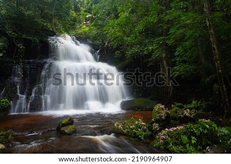 Waterfall in the deep jungle with green forest in rainy season.
