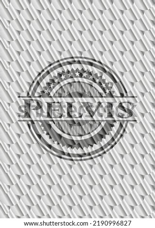 Pelvis silver shiny badge. Scales pattern. Vector Illustration. Detailed. 
