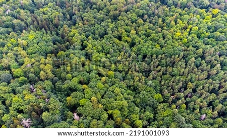 beuatiful green mixed forest in Stuttgart, Germany Royalty-Free Stock Photo #2191001093