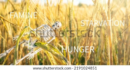 Inscription on the picture is "Hunger, famine and starvation". Human skeleton against a background of ripe yellow cereals. Concept of the food crisis. Wheat field close up.