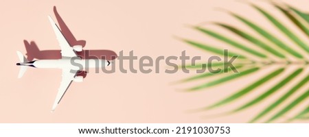 Miniature white airplane on a pink background and tropical leaf. Banner, flat lay, creative concept of vacation, tourism, travel. Copy space