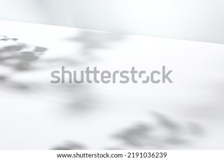 Light background with harsh shadows of tree branch. Aesthetic white background with empty place. Summer light backdrop. Nature and shadows mock up. Simple mockup. Poster presentation with shadows