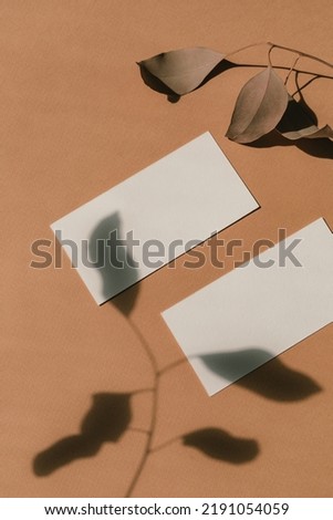 Minimalist business card mockups with overlay shadows. Branding presentation.  Logo mockup.