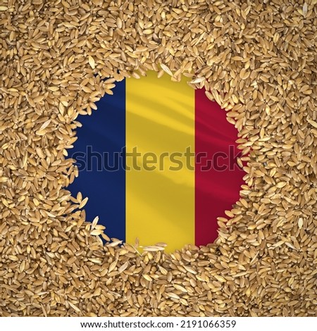 Flag of chad with grains of wheat. Natural whole wheat concept with flag of chad