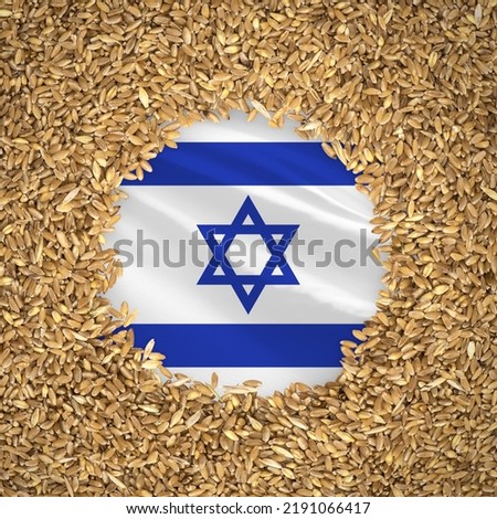 Flag of israel with grains of wheat. Natural whole wheat concept with flag of israel