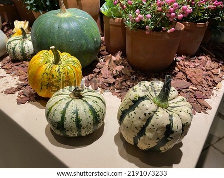 Little decorative pumpkins for interior