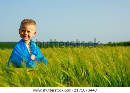 Little boy with Ukrainian flag in wheat field.Happy boy celebrating Independence Day.