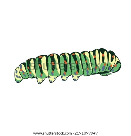 Vector illustration with a green caterpillar with orange dots isolated on white background 