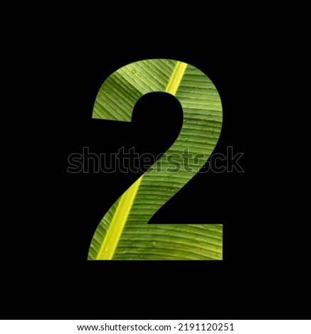 Number 2, digit on banana plant leaf background