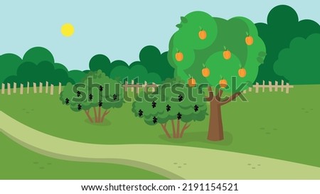 apricot tree and currant bushes