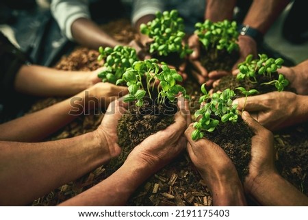 A diverse group of sustainable people holding plants in an eco friendly environment for nature conservation. Closeup of hands planting in fertile soil for sustainability and organic farming Royalty-Free Stock Photo #2191175403