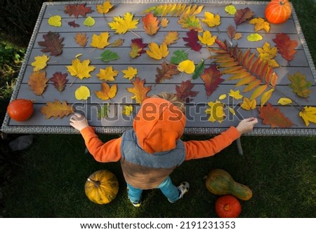 unrecognizable hooded boy playing with many beautiful bright colorful autumn leaves laid out on the table. interesting childhood, autumn joyful mood. view from above. positive atmosphere