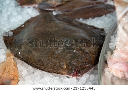 Catch of the day, fresh raw flounder flatfish on ice, healthy seafood, close up