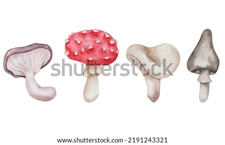 Watercolor illustration of hand painted mushrooms of brown, red, grey, white colors. Inedidle fungus. Flybane. Nature forest plant. Isolated food clip art for autumn textile prints, cards, stickers