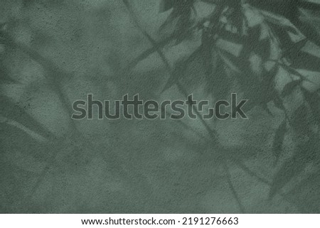 Abstract tree leaves shadows on gray green concrete wall texture with roughness and irregularities. Abstract trendy nature concept background. Copy space for text overlay, poster mockup flat lay  Royalty-Free Stock Photo #2191276663