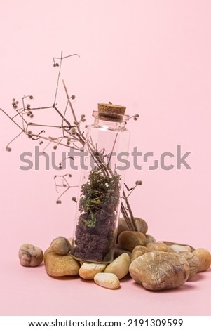 Creative subject photography. Earth with grass in a glass flask on a pink background. Organic forms in photography