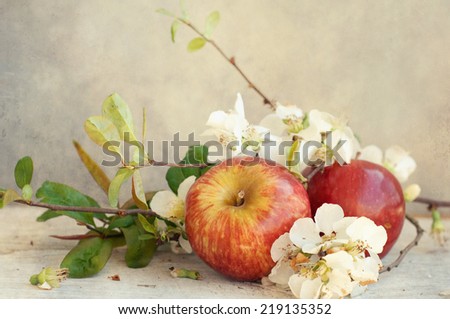 apple flowers and ripe red apples