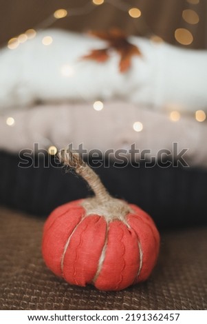 halloween and autumn cozy composition with pumpkins, october home decoration