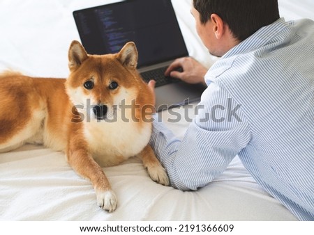 Young European developer is working in a home office outsource. Online card payment. Emotional support Japanese breed shiba inu dog Royalty-Free Stock Photo #2191366609