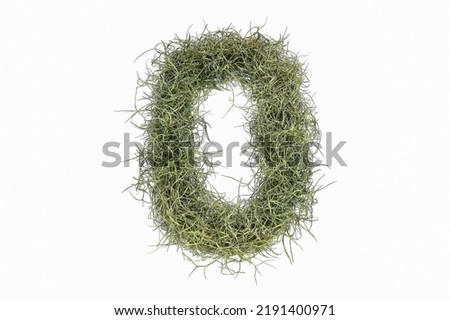 Natural air purifier from Spanish moss, number 0