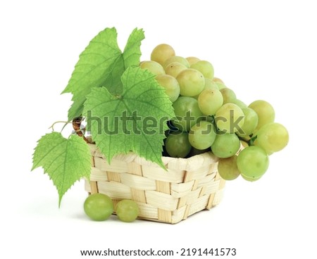 Bunches of grapes . autumn background. Variety of ripe colorful grapes as the symbol of autumn  abundance. Basket with grapes. Winemaking. Isolated. Diet.