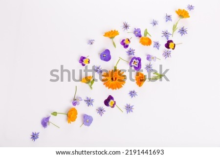 Frame from marigold, viola, borage flower on white background. Top view. Flat lay pattern, edible flower Royalty-Free Stock Photo #2191441693