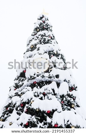 Christmas tree under snow outdoors. The branches of a decorated spruce are covered with snow.