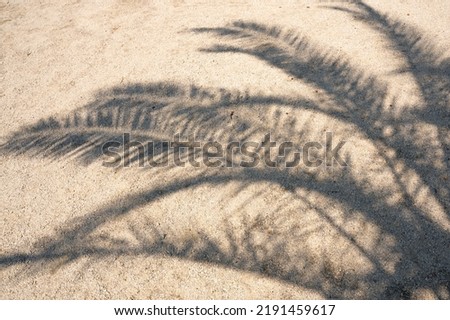 Palm leaf shadow on sand. High Resolution surface for pattern and background. Blank template for advertising lettering, rough material, grungy textured background closeup