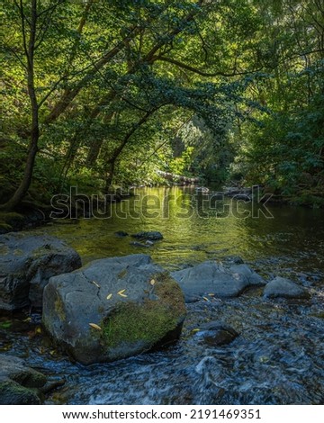 Lagunitas Creek in Samuel P. Taylor State Park, Marin County, California.  Royalty-Free Stock Photo #2191469351