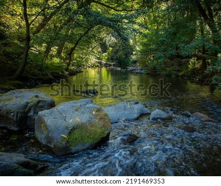 Lagunitas Creek in Samuel P. Taylor State Park, Marin County, California.  Royalty-Free Stock Photo #2191469353
