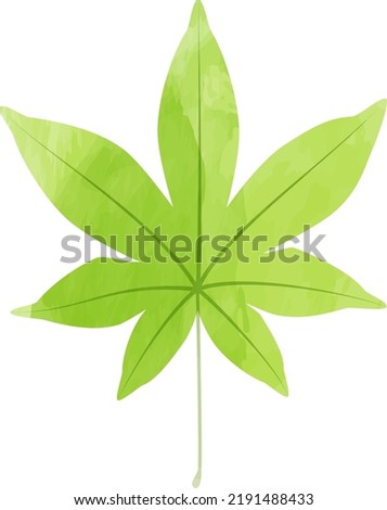 Vector watercolor illustration of a Japanese maple leaf isolated on background.