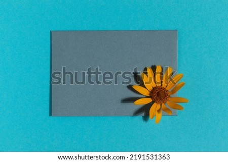 Blue greeting card with yellow flower on blue background. Minimalistic flat lay.