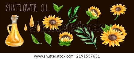 Big watercolor set of sunflowers and oil with green leaves. High quality photo