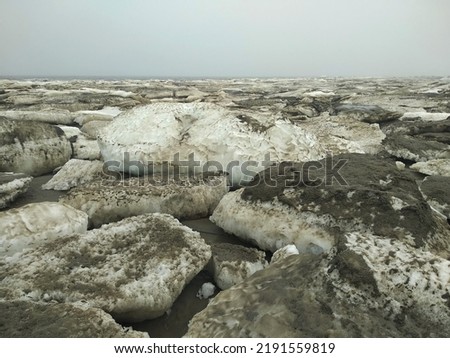 Large muddy ice floes melting in the arctic tundra on the coast of the Barents Sea. Varandey, Russia.