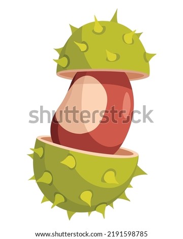 Chestnuts cracked shell with prickles. Vector illustration. Design element for poster, packaging, banner and wrapping paper