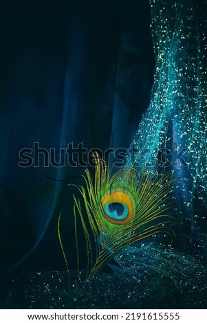 Peacock feather still life with dark blue background of Lord Krishna Royalty-Free Stock Photo #2191615555
