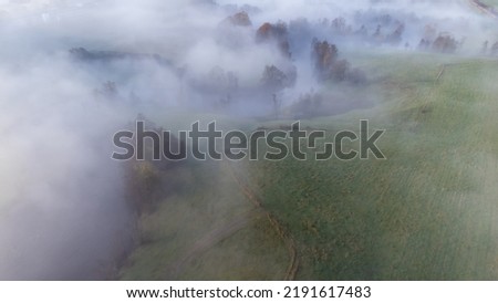 Aerial view of misty morning in November. Nature photography of river, trees and fog taken with a drone from above in Sweden.