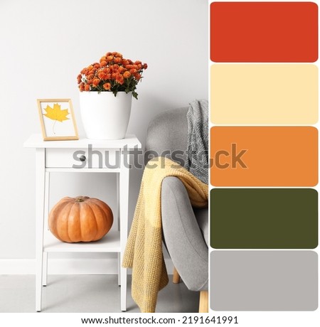 Pot with beautiful Chrysanthemum flowers and autumn decor on table near light wall in room. Different color patterns
