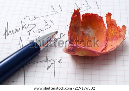 Close-up of a pen lying on a  background with English and arabic letters