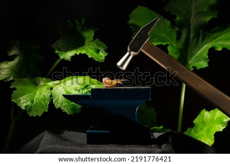 snail on the anvil under the hammer the concept of naivety and resistance Royalty-Free Stock Photo #2191776421