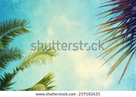 grunge palm background 