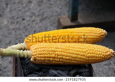 The process of making roasted corn is traditionally grilled using charcoal fire and also smeared with sauce as a flavor enhancer. Grilled corn in the mountains of Guci, Tegal is a delicious meal