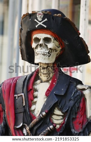 Pirate Skeleton Halloween night party 