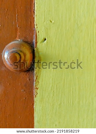 Close-up photo of the bell button that has not been used for a long time and is painted the same color as the edge of the door.  selective focus