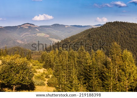 Majestic mountains landscape with a fresh green leaves