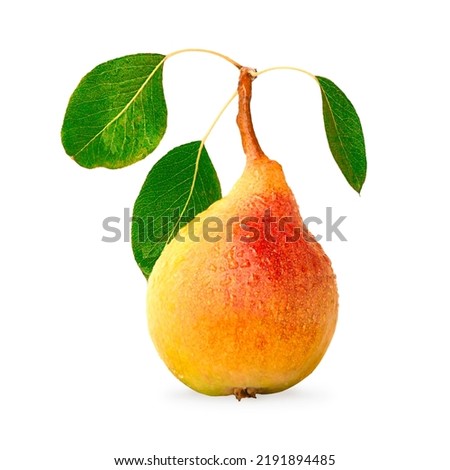 Ripe pear with green leaves and water drops, one object isolated on white background. Royalty-Free Stock Photo #2191894485