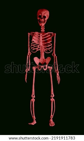 Red skeleton on black background. Halloween symbol. Funny holiday. Scary zombie. High quality photo