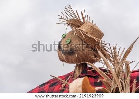 Halloween scarecrow. Scary figure. Traditional Halloween scarecrow costume.
