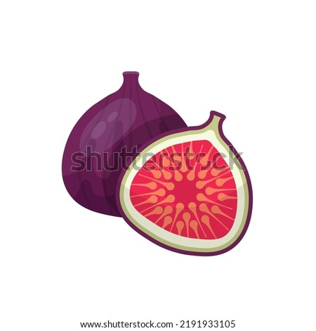 Figs, tropical fruit vector illustration. Cartoon isolated whole exotic fresh fruit, cut in half with seeds texture for summer healthy dessert, ripe figs for eating and food ingredient for cooking Royalty-Free Stock Photo #2191933105